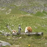 Bogensperger מריהפאר