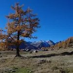 Bogensperger * מריהפאר