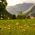 Bogensperger