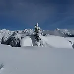 Bogensperger מריהפאר