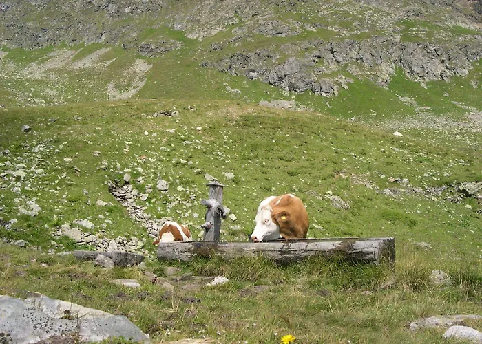 Bogensperger Mariapfarr