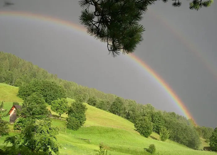 Bogensperger Διαμέρισμα *